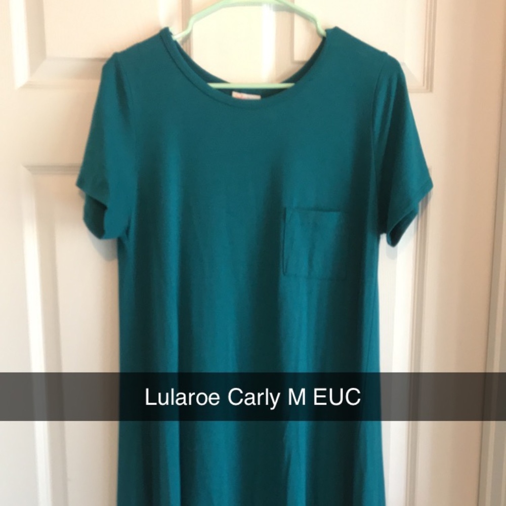 LulaRoe Carly Size Medium